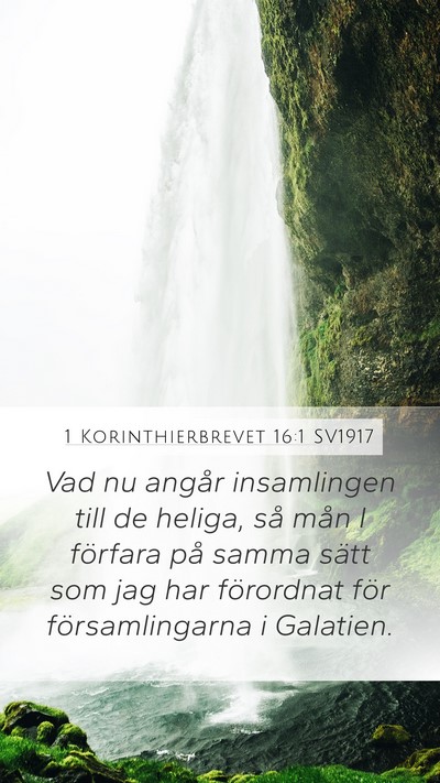 1 Korinthierbrevet 16:1 SV1917 Bible Verse Image