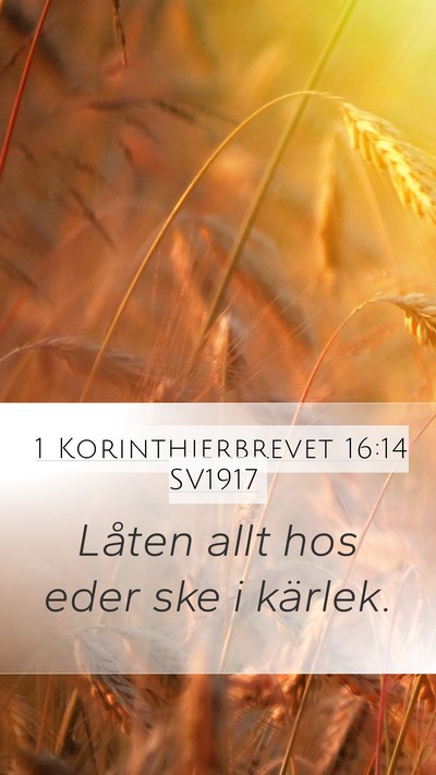 1 Korinthierbrevet 16:14 SV1917 Bible Verse Image