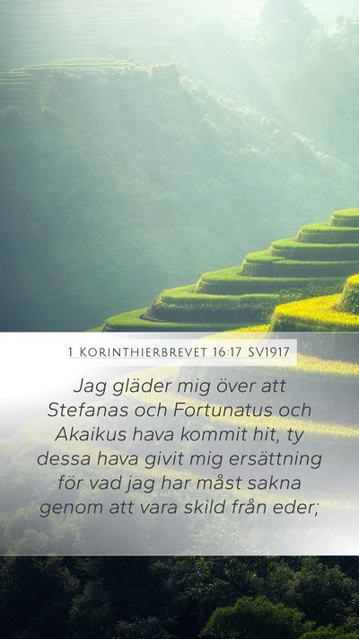 1 Korinthierbrevet 16:17 SV1917 Bible Verse Image