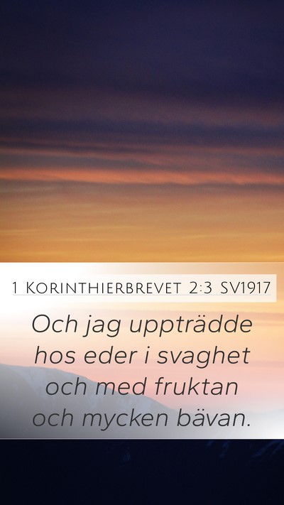 1 Korinthierbrevet 2:3 SV1917 Bible Verse Image