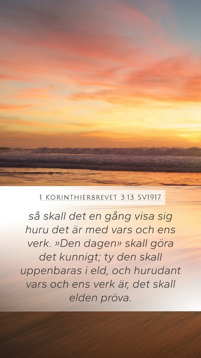1 Korinthierbrevet 3:13 SV1917 Bible Verse Image