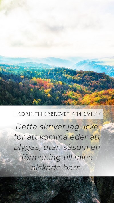 1 Korinthierbrevet 4:14 SV1917 Bible Verse Image