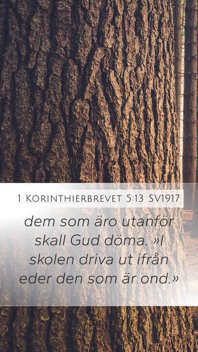1 Korinthierbrevet 5:13 SV1917 Bible Verse Image