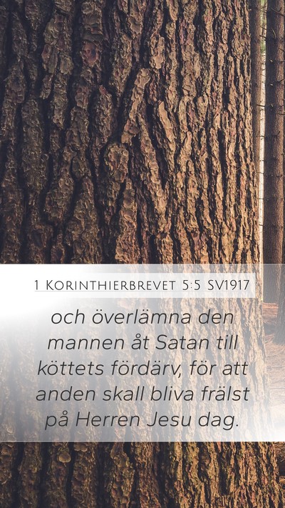 1 Korinthierbrevet 5:5 SV1917 Bible Verse Image