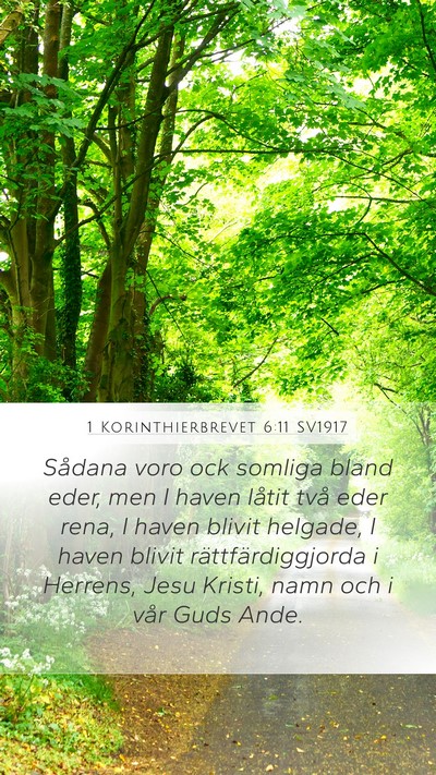 1 Korinthierbrevet 6:11 SV1917 Bible Verse Image