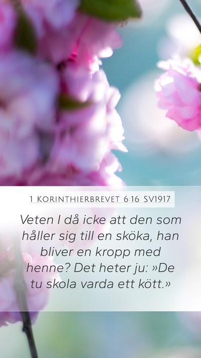 1 Korinthierbrevet 6:16 SV1917 Bible Verse Image