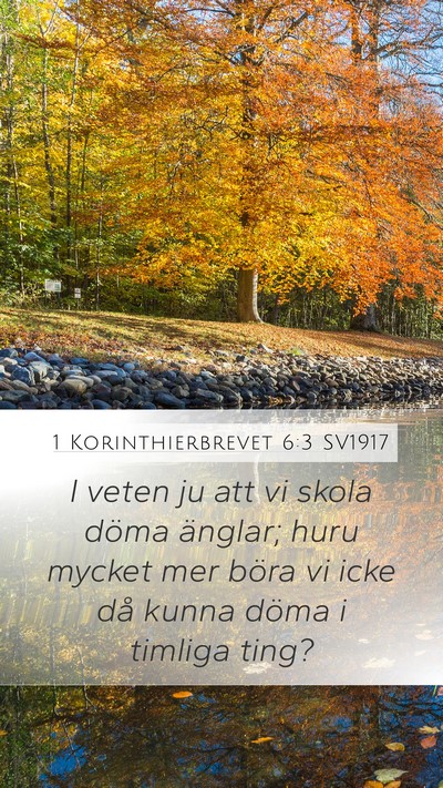 1 Korinthierbrevet 6:3 SV1917 Mobile Phone Wallpaper - I veten ju att vi skola döma änglar; huru - Mobile Bible Verse Wallpaper