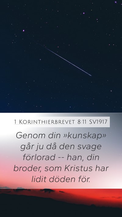 1 Korinthierbrevet 8:11 SV1917 Bible Verse Image
