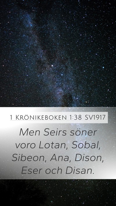 1 Krönikeboken 1:38 SV1917 Bible Verse Image