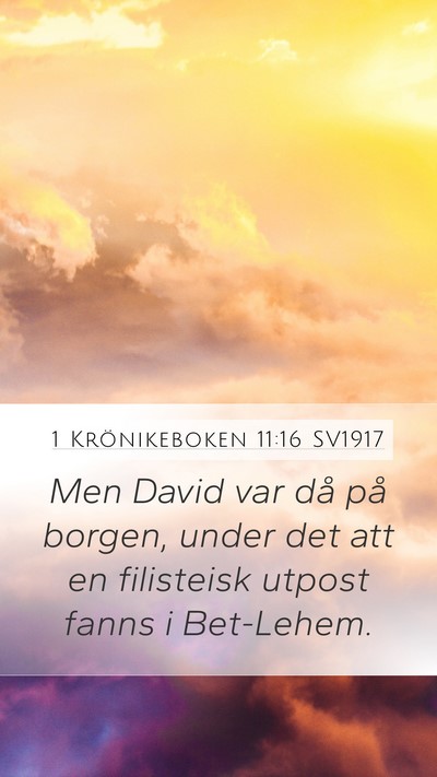 1 Krönikeboken 11:16 SV1917 Bible Verse Image