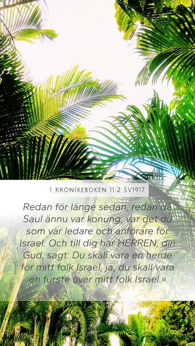 1 Krönikeboken 11:2 SV1917 Bible Verse Image