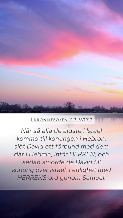 1 Krönikeboken 11:3 SV1917 Bible Verse Image