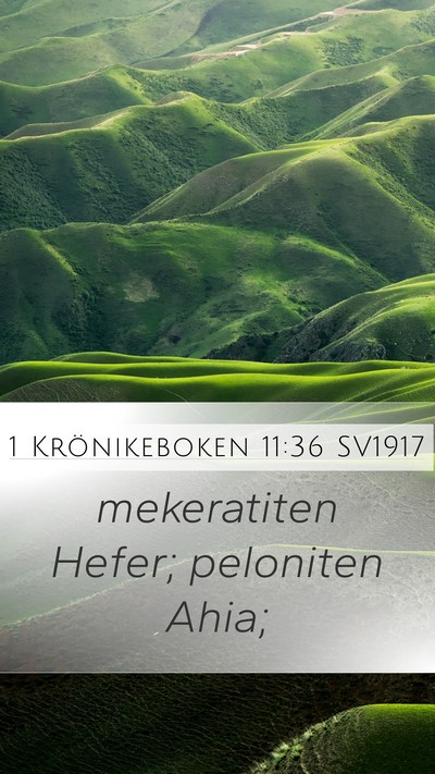 1 Krönikeboken 11:36 SV1917 Mobile Phone Wallpaper - mekeratiten Hefer; peloniten - Mobile Bible Verse Wallpaper