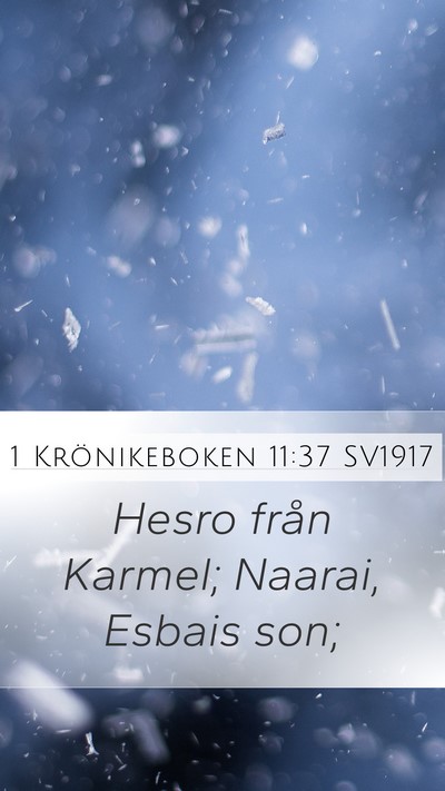 1 Krönikeboken 11:37 SV1917 Bible Verse Image