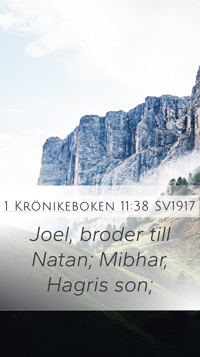 1 Krönikeboken 11:38 SV1917 Mobile Phone Wallpaper - Joel, broder till Natan; Mibhar, Hagris - Mobile Bible Verse Wallpaper