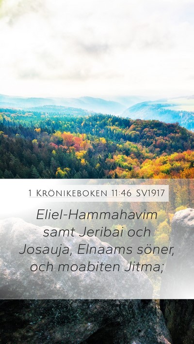 1 Krönikeboken 11:46 SV1917 Mobile Phone Wallpaper - Eliel-Hammahavim samt Jeribai och Josauja, - Mobile Bible Verse Wallpaper