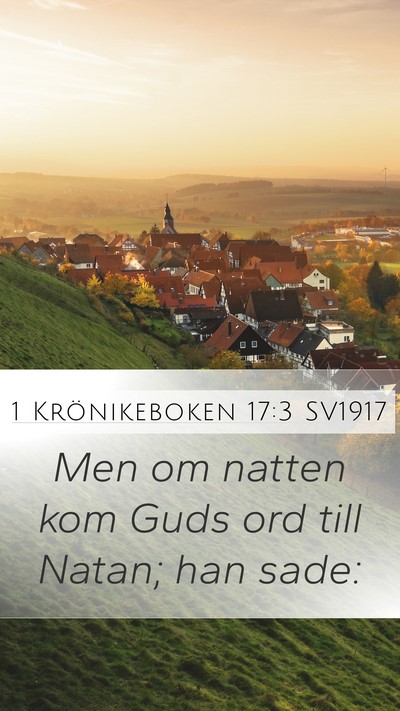 1 Krönikeboken 17:3 SV1917 Bible Verse Image