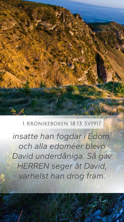 1 Krönikeboken 18:13 SV1917 Bible Verse Image