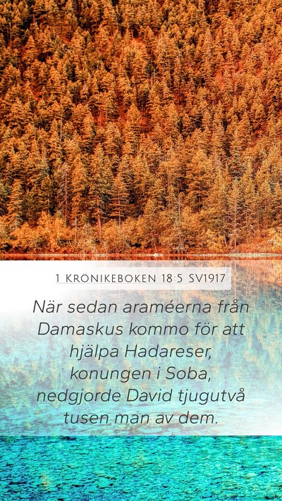 1 Krönikeboken 18:5 SV1917 Bible Verse Image