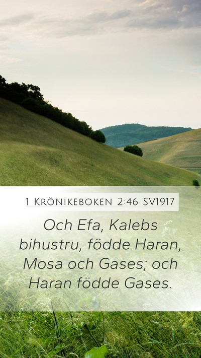 1 Krönikeboken 2:46 SV1917 Mobile Phone Wallpaper - Och Efa, Kalebs bihustru, födde Haran, Mosa och - Mobile Bible Verse Wallpaper