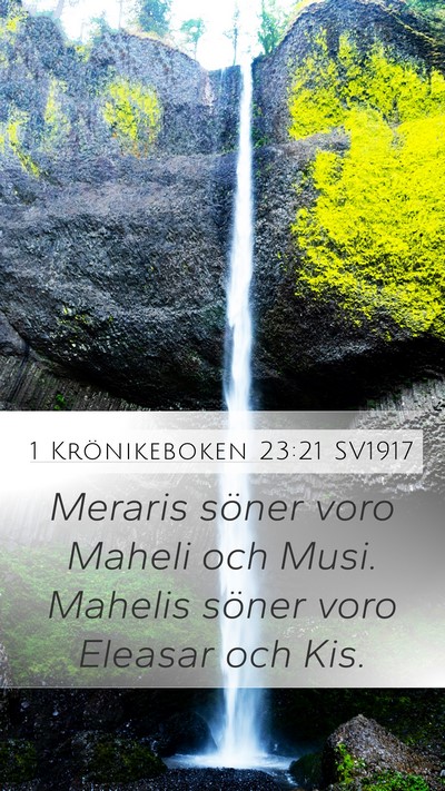 1 Krönikeboken 23:21 SV1917 Bible Verse Image