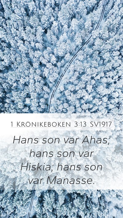 1 Krönikeboken 3:13 SV1917 Bible Verse Image