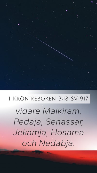 1 Krönikeboken 3:18 SV1917 Mobile Phone Wallpaper - vidare Malkiram, Pedaja, Senassar, Jekamja, - Mobile Bible Verse Wallpaper