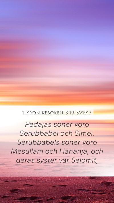 1 Krönikeboken 3:19 SV1917 Bible Verse Image
