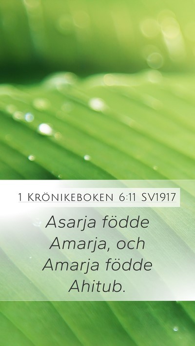 1 Krönikeboken 6:11 SV1917 Mobile Phone Wallpaper - Asarja födde Amarja, och Amarja födde - Mobile Bible Verse Wallpaper