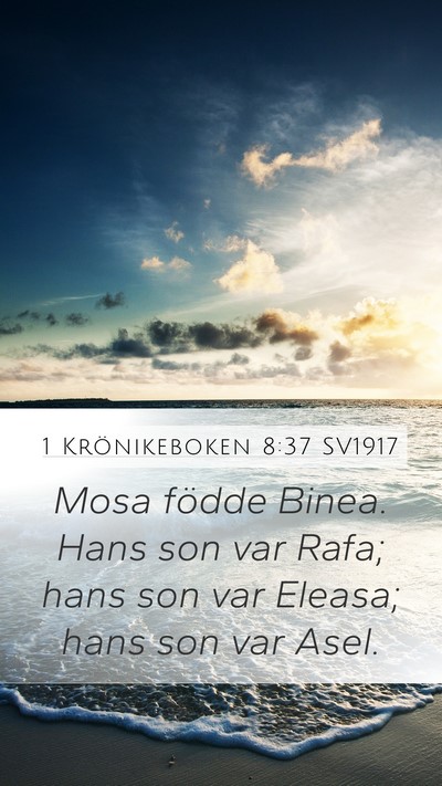 1 Krönikeboken 8:37 SV1917 Bible Verse Image