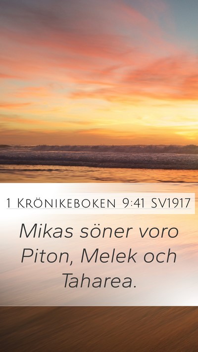 1 Krönikeboken 9:41 SV1917 Bible Verse Image