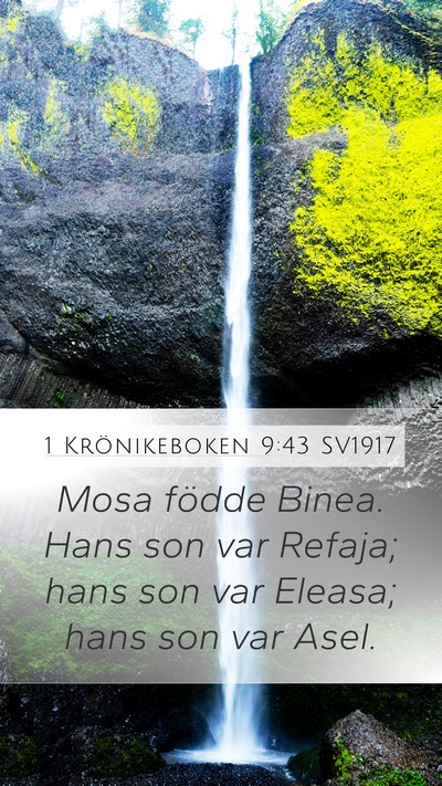1 Krönikeboken 9:43 SV1917 Mobile Phone Wallpaper - Mosa födde Binea. Hans son var Refaja; hans son - Mobile Bible Verse Wallpaper