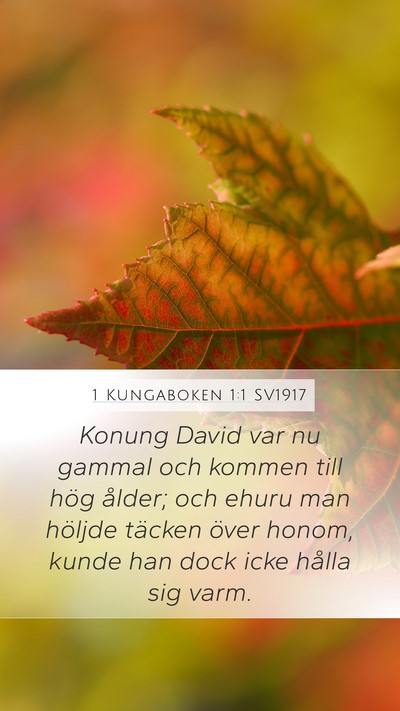 1 Kungaboken 1:1 SV1917 Bible Verse Image