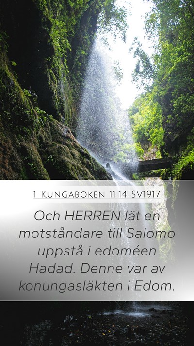 1 Kungaboken 11:14 SV1917 Bible Verse Image