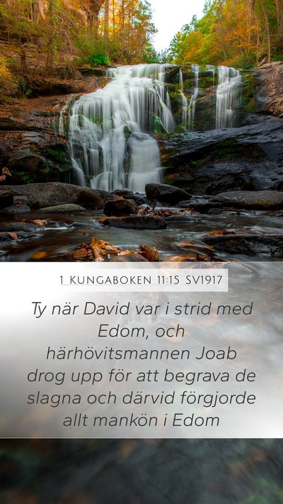 1 Kungaboken 11:15 SV1917 Bible Verse Image