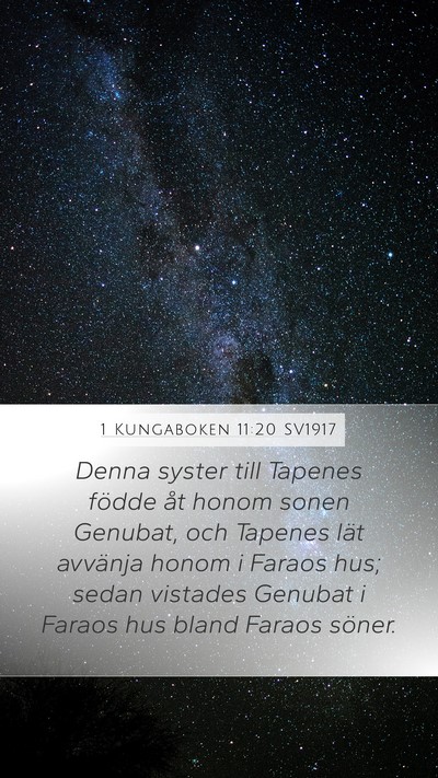 1 Kungaboken 11:20 SV1917 Mobile Phone Wallpaper - Denna syster till Tapenes födde åt honom sonen - Mobile Bible Verse Wallpaper