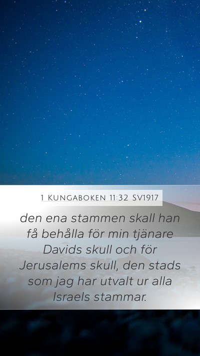 1 Kungaboken 11:32 SV1917 Bible Verse Image