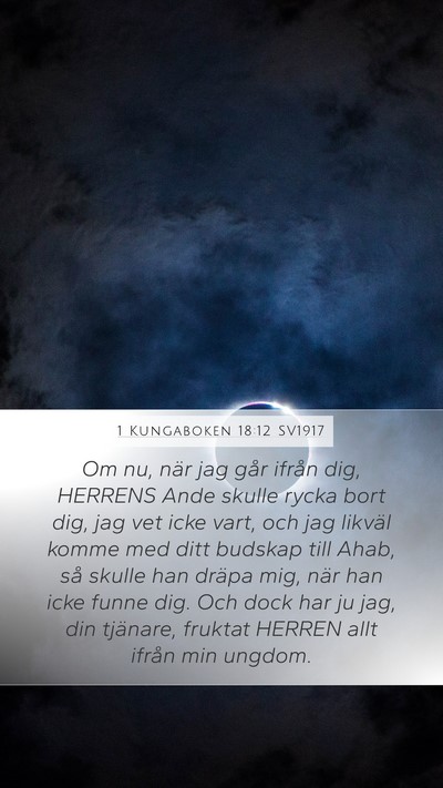 1 Kungaboken 18:12 SV1917 Bible Verse Image