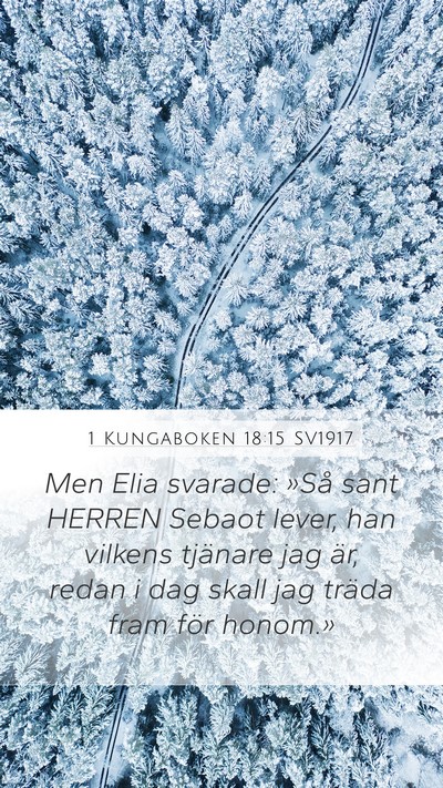 1 Kungaboken 18:15 SV1917 Bible Verse Image