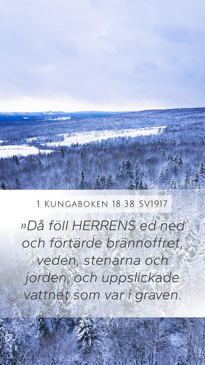 1 Kungaboken 18:38 SV1917 Bible Verse Image
