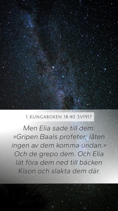 1 Kungaboken 18:40 SV1917 Bible Verse Image