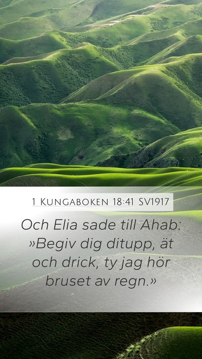 1 Kungaboken 18:41 SV1917 Bible Verse Image