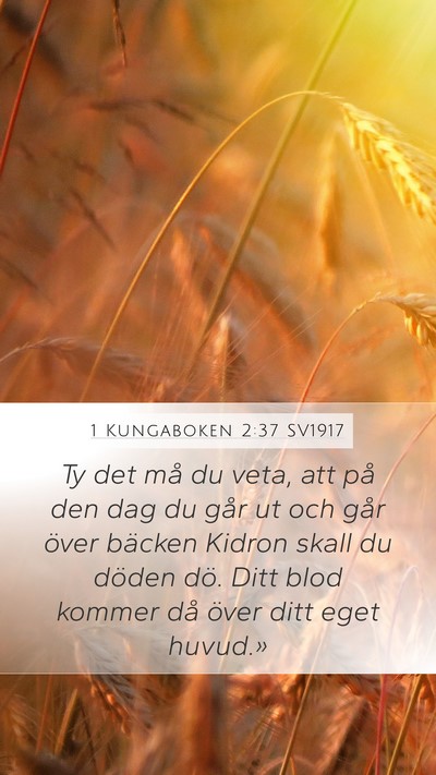 1 Kungaboken 2:37 SV1917 Bible Verse Image