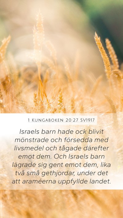 1 Kungaboken 20:27 SV1917 Bible Verse Image