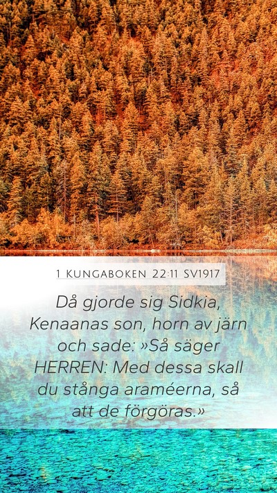 1 Kungaboken 22:11 SV1917 Bible Verse Image