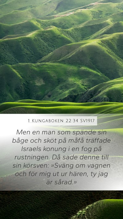 1 Kungaboken 22:34 SV1917 Bible Verse Image