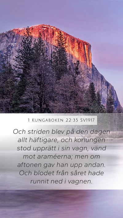 1 Kungaboken 22:35 SV1917 Bible Verse Image