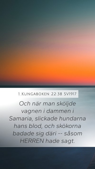 1 Kungaboken 22:38 SV1917 Mobile Phone Wallpaper - Och när man sköljde vagnen i dammen i Samaria, - Mobile Bible Verse Wallpaper