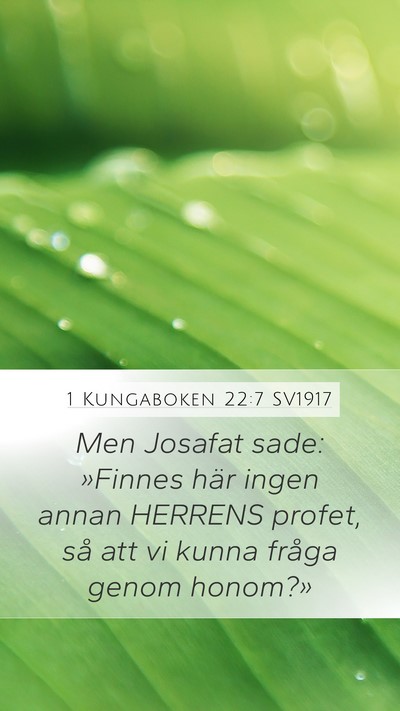1 Kungaboken 22:7 SV1917 Mobile Phone Wallpaper - Men Josafat sade: »Finnes här ingen annan - Mobile Bible Verse Wallpaper