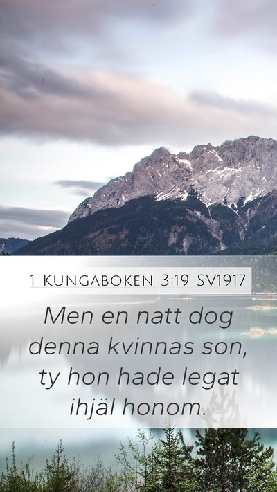 1 Kungaboken 3:19 SV1917 Mobile Phone Wallpaper - Men en natt dog denna kvinnas son, ty hon hade - Mobile Bible Verse Wallpaper